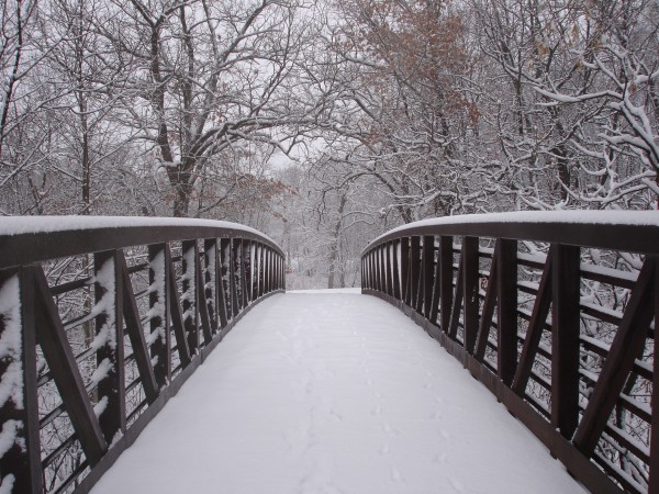 snowshoe day