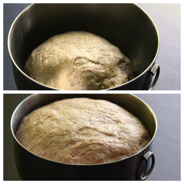 grilled pizza crust - rising dough