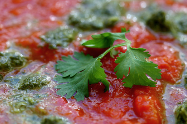 red pepper soup - cilantro