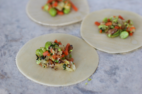 vegetable pot stickers