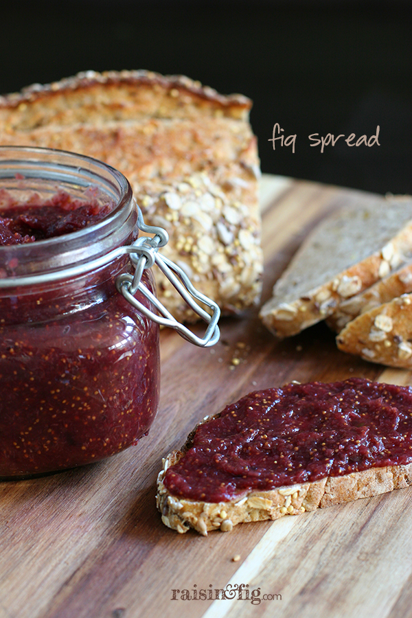 Fig Spread