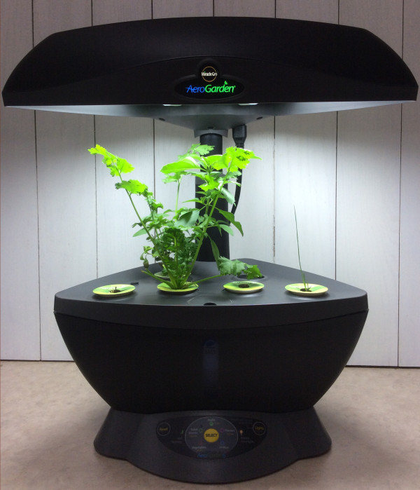 aerogarden