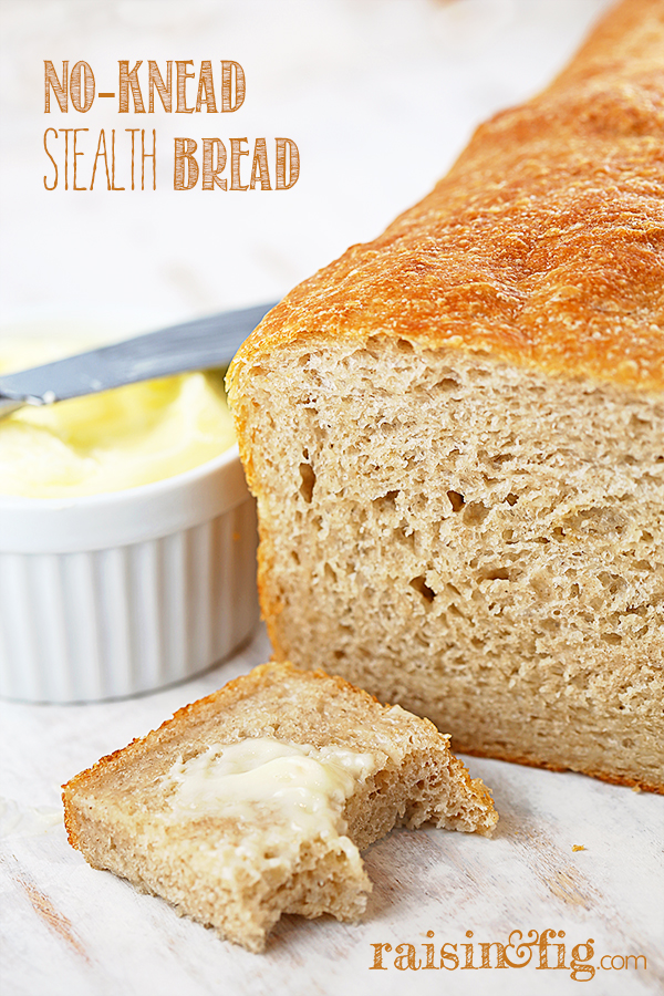 no knead stealth bread