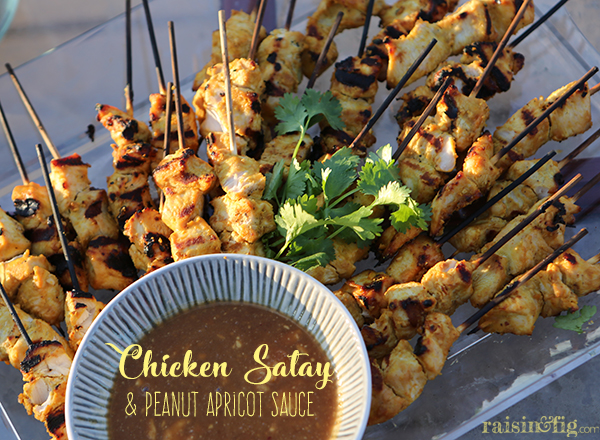 Chicken Satay With Peanut Apricot Sauce Raisin Fig,How To Make A Duct Tape Wallet