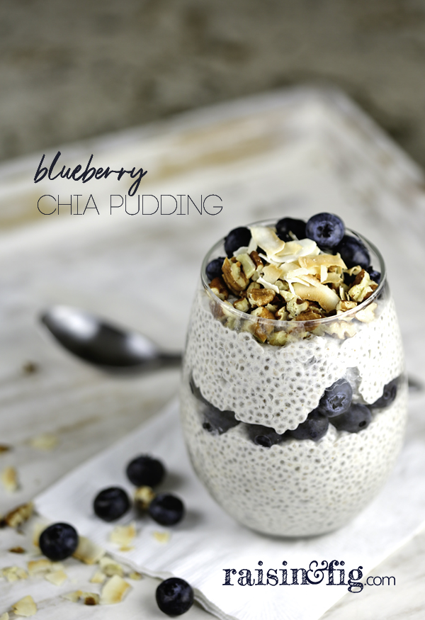 blueberry chia pudding